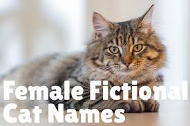 Gemstones are great as cat names because they all have meanings you can match up with your cat's personality and their colors can speak to hair or eye color.; 229 Brilliant Literary Names For Cats