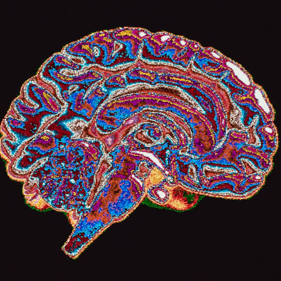 Is brain death reversible? | Live Science