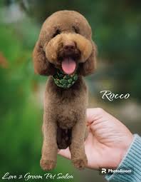 Appointments as soon as today! Bring your furry friend to get pampered!  Prices vary based