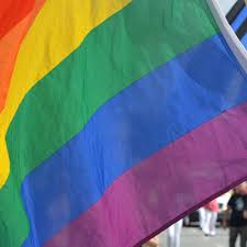 Conoce el origen y el significado de la bandera lgbt, así como otros estandartes con los que se identifican otros grupos pro diversidad sexual. Que Significan Los Colores De La Bandera Lgbt