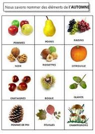 Le Vocabulaire De L Automne La Maternelle De Vivi Automne Fruits D Automne Activite Automne
