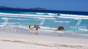 shark attack at kelp beds beach reports result in authorities urgent response 7news com au