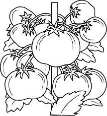 I'm creating three projects for pottery barn kids this month! Fruits And Vegetables Coloring Pages Basket Of For Kids Sheets Stephenbenedictdyson