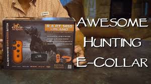 It's time for dog lovers to fight back. How To Set Birds In The Field Upland Bird Dog Training Youtube