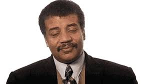 Neil deGrasse Tyson Defends Elon Musk Smoking Weed