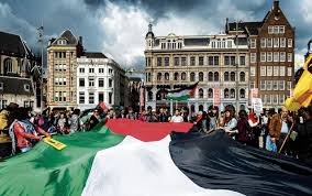 Gstv groenlinks reageert op affiliatie moslimbroederschap tk 9 kauthar bouchallikht. Vmouis8shezbhm