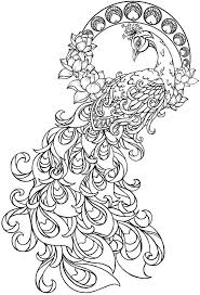 Paisley Peacock Coloring Pages Peacock Coloring Pages Flower Coloring Pages Free Coloring Pages