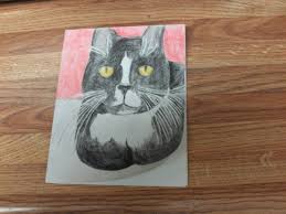 You should see a cac reader with a red x in your system tray. How To Make A Homemade Cat Card Hubpages