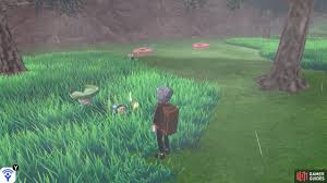 Pokemon Sword And Shield: Ultimate Guide For Catching Shiny Pokemon