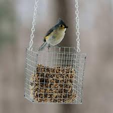 Homemade Bird Feeders For Small Birds Only 10 Uses For Hardware Cloth Hardware Cloth Chicken House Caged Bird Feeders