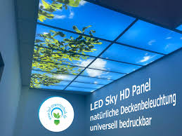 Wir geben euch 3 anleitungen für anfänger, fortgeschrittene und profis. Deckenhimmel Led Sky Panels Grosshandel Fur Gewerbe Industriebeleuchtung