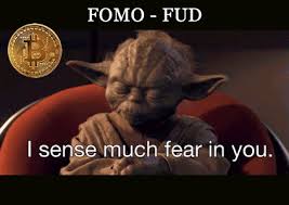 Lindsay lohan from mean girls gif. Starwars Yoda Fomo Fud Bitcoin Gif Viral Chop Video