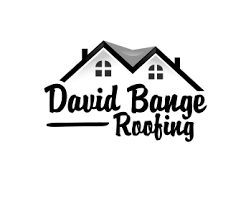 Paul recognized that a solid, sound roof is critical to a structure's integrity, so he and his family set out to provide the highest quality. Dbr P1093841 Logo Design Contest Logo Arena