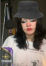 virginia plain ⭐️ (@endlessbluepress)