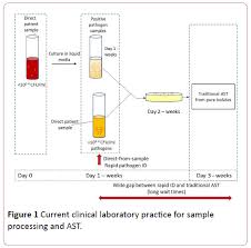 a comprehensive review of the present and future antibiotic