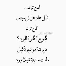 شعر عراقي شعبي اجمل ابيات الشعر العراقى كلام نسوان