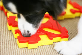 You need nina ottosson dog toys in your life! Pretty Fluffy