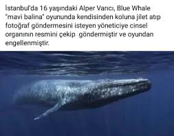 Lonely One Adli Kullanicinin Bilgi Panosundaki Pin Balina Mavi Balina