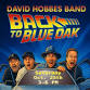 David Hobbes Band @ Blue Oak Brewing Co. event image