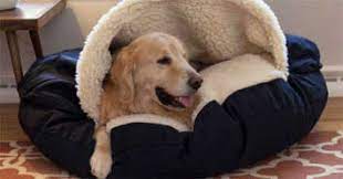 Summer sale now on | free shipping, 100 night guarantee Keeping Warm Winter Dog Bed And Blankets
