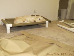 Pvc Dog Cot Tutorial Dog Cots Diy Dog Stuff Diy Dog Bed