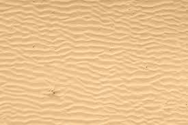 We did not find results for: How To Actually Model Beach Sand Waves Ripples Without Image Textures Blender