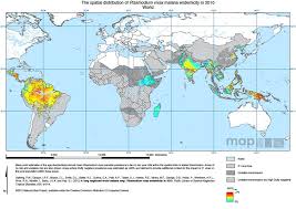 Four species cause nearly all infections in humans; Malaria In The Asia Pacific Region The Asia Pacific Journal Japan Focus
