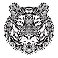 Tatouage Hand Drawn Graphique Tigre Orne Ethnique Floral Illustration Doodle Pattern Vector Pour Livre Coloriage Tigre Dessin Tigre Coloriage Mandala Animaux