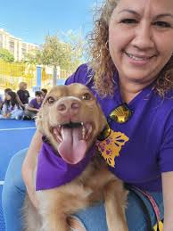 Brownie Blondie Foundation by Marjorie Andino