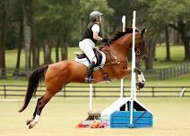 September Schooling Show