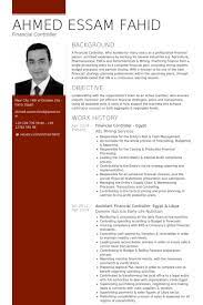 financial controller resume samples visualcv database administrative assistant professional examples example five guys statements