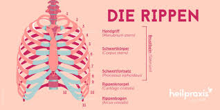 Rippenprellung Heilpraxis