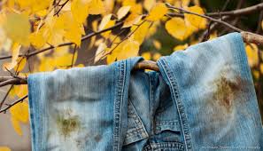 Comment enlever la tache ? Astuce Menage Tache De Graisse Adjacent Services