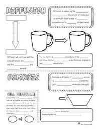 Biology Diffusion And Osmosis Worksheet Answer Key Diffusion And Osmosis Sketch Notes Activities Slide Show Sketch Notes Science Notes Osmosis