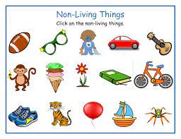 See living organisms stock video clips. Non Living Things Activity