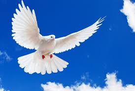 Коли святкується благовіщення пресвятої богородиці. 07 Kvitnya Svyato Blagovishennya Presvyatoyi Bogorodici Oficijnij Sajt Vikonavchogo Komitetu Saksaganskoyi Rajonnoyi U Misti Radi