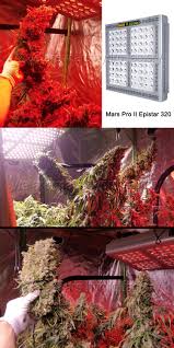 2 X Mars Hydro Ts 3000w Led Grow Light Full Spectrum Veg Bloom For Indoor Plants Led Grow Lights Grow Lights Best Led Grow Lights