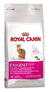 Royal Canin Cat Food Exigent Savour Sensation Dry Mix 10 Kg Cat Food Cat Food Allergy Cat Food Reviews
