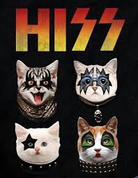 Pin By Clarita B On Cat Art Crazy Cats Cute Cats I Love Cats