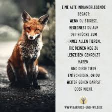 Eine Alte Indianerlegende Besagt Wenn Du Stirbst Begegnest Du Auf Der Brucke Zum Himmel Allen Tieren Die Lebensweisheiten Spruche Spruche Tiere Zitate Tiere