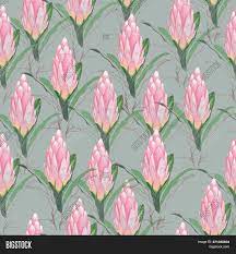 See more ideas about floral pattern, pattern, floral. Bright Floral Print Image Photo Free Trial Bigstock