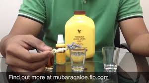 Branded forever aloe vera gel formulated with the best ingredients at bargain prices. Pengobatan Dan Khasiat Herbal Khasiat Aloe Vera Forever Living