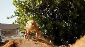 Srt v2.0 = a total revision and completion (of v1.0) 1cd (eng). Sexuele Voorlichting 1991 Belgium Full Videotitle Free Porn Watch And Download Sexuele Voorlichting 1991 Belgium Full Videotitle Hard Porn At 2beeg Mobi