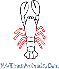 Lobster is more expensive than usual this season due to a limited supply, high demand and the reopening of the economy as the nation moves past the coronavirus pandemic. How To Draw A Lobster