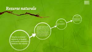 Resursele naturale resursele naturale, care constituie diverse forme naturale de materie şi energie necesare oamenilor, există ca substanţe în stare solidă (lemn, cărbuni, minereuri, roci de construcţie ş.a.), lichidă (apă, petrol ş.a.), gazoasă. Resurse Naturale By Fratescu Sergiu