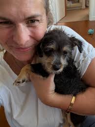 Please welcome Marvin. Turns out, Luke and I REALLY LOVE chaos, so why not  add another puppy to the circus? We adopted Marv from  @waggytailsdogrescueqld through their last litter program