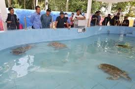 Pusat konservasi & penerangan penyu akan diberi nafas baharu. Lapan Renjer Empat Pemungut Telur Penyu Berlesen Terima Watikah