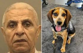 What was George HW Bush's cause of death, when did he marry wife Barbara  and what was his net worth?