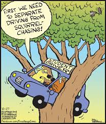 The Last Leaf Gardener: Monday's Second Memo re Observing Squirrels (It's  from Bill Whitehead)