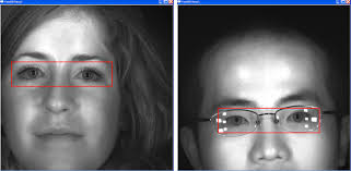 An Automated Video-Based System for Iris Recognition